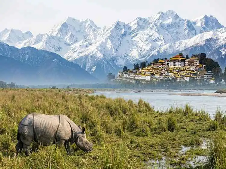 Kaziranga Tawang Tour Package